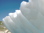 Arctic