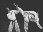 Taekwon-Do